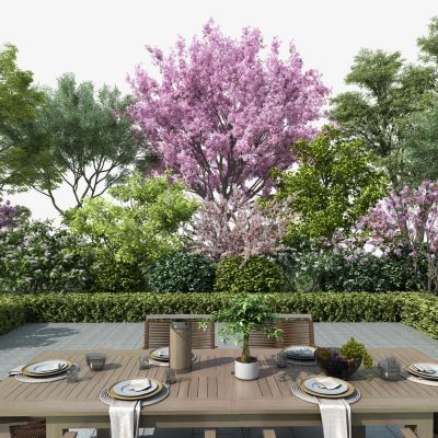 植物堆 景观树 灌木带 灌木球 樱花树 草地 植物组团