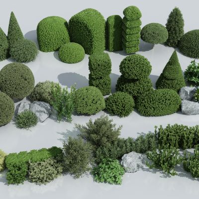  灌木丛 球形绿植 球形植物 绿篱 灌木球 植物墙