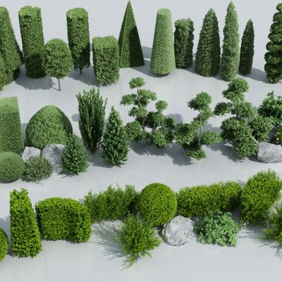 灌木 球形绿植 球形植物 绿化带 绿篱墙 绿篱 灌木球 植物墙