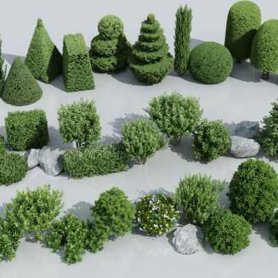 灌木 球形绿植 球形植物 绿化带 绿篱墙 绿篱 灌木球 植物墙