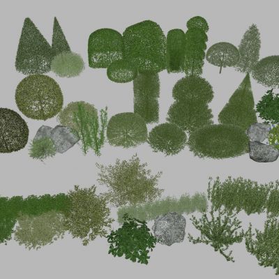  灌木丛 球形绿植 球形植物 绿篱 灌木球 植物墙