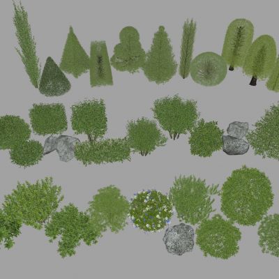 灌木 球形绿植 球形植物 绿化带 绿篱墙 绿篱 灌木球 植物墙