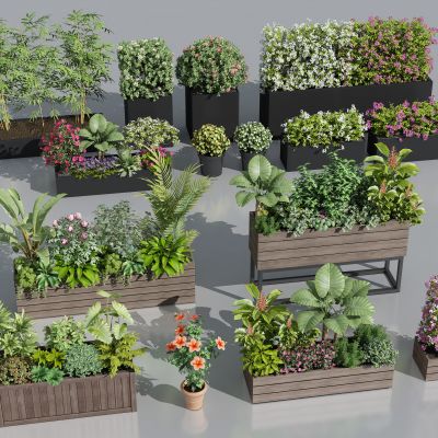 花箱 外摆花箱 花草 植物盆栽 花坛花箱 户外植物组合  