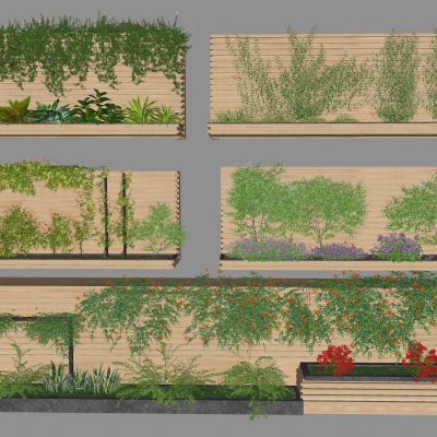 藤蔓绿植花箱 爬山虎 爬藤 花卉藤蔓 植物墙