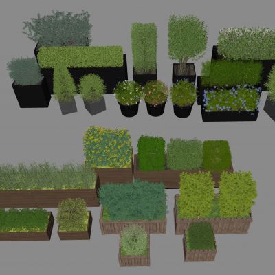 绿篱花箱 方形灌木 方形绿篱 植物花箱 绿植盆栽 