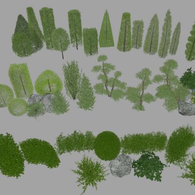 灌木 球形绿植 球形植物 绿化带 绿篱墙 绿篱 灌木球 植物墙