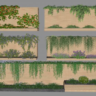 藤蔓绿植花箱 爬山虎 爬藤 花卉藤蔓 植物墙