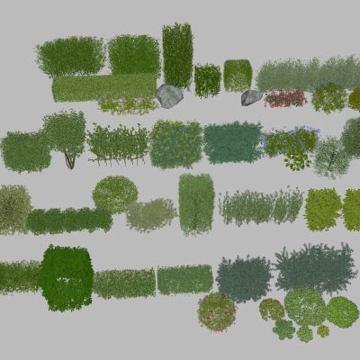  绿篱 方形灌木 方形树 方形绿篱 绿化带 法式造型绿篱