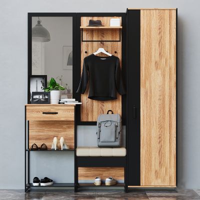 现代玄关鞋柜 衣帽柜