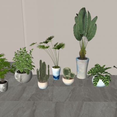 现代盆栽绿植组合