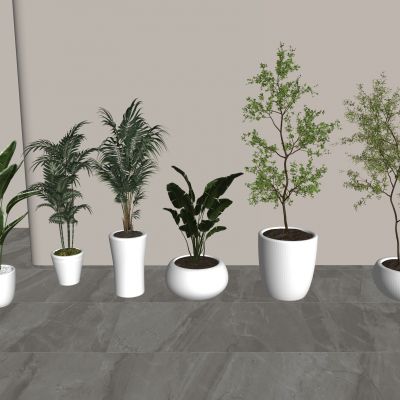 现代花盆，su现代盆栽绿植组合