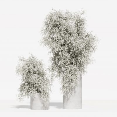 现代花瓶花艺组合 花瓶植物 花瓶花卉