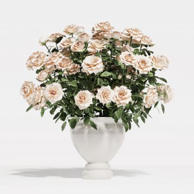 现代花瓶花艺组合 花瓶植物 花瓶花卉 玫瑰花组合