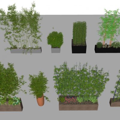 竹子 竹林 新中式竹子盆栽