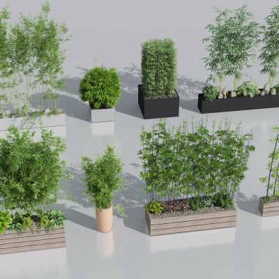 竹子 竹林 新中式竹子盆栽