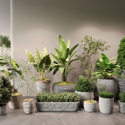现代绿植盆栽自然风花盆 绿植花盆组合