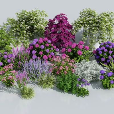 花卉花草组合 灌木 景观绿植花草 室外鲜花绿化 花丛绿植