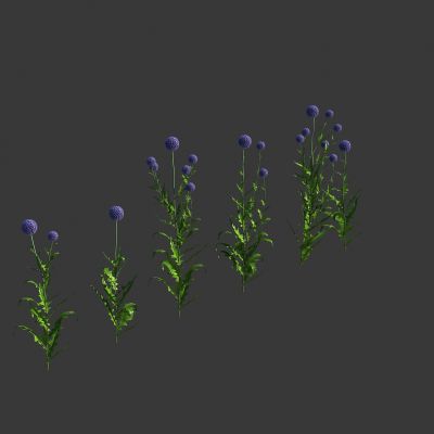 巴纳特蓝刺头3D模型