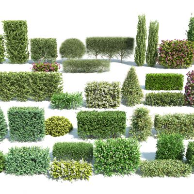 现代方形绿篱组合