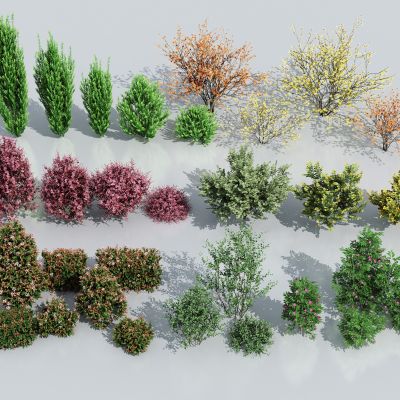 灌木 灌木球 树篱 绿植组合