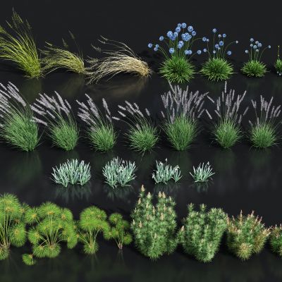 花草花卉组合 灌木 景观绿植花草 羽毛草芦苇 粉黛乱子草 狗尾巴草 