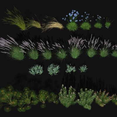 花草花卉组合 灌木 景观绿植花草 羽毛草芦苇 粉黛乱子草 狗尾巴草 