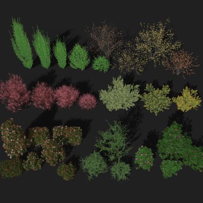 灌木 灌木球 景观树木 树篱 绿植组合