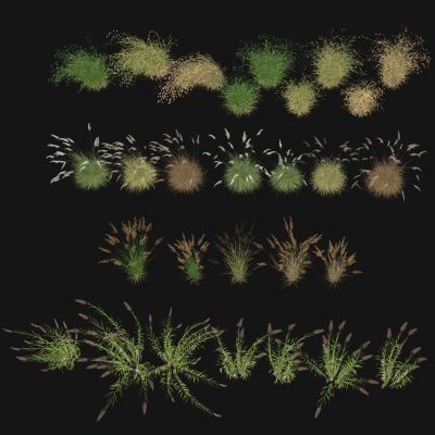 花草花卉组合 灌木 景观绿植花草 羽毛草芦苇 粉黛乱子草 狗尾巴草 