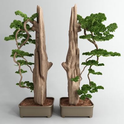 新中式盆景假山松树