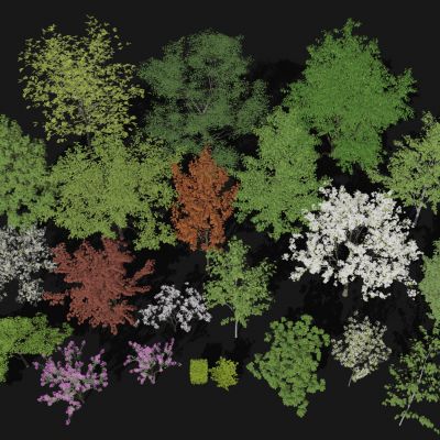 现代景观树 树木 乔木 灌木 植物 