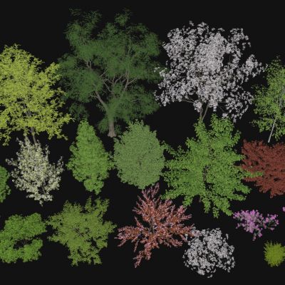 现代景观树 树木 乔木 灌木 植物 