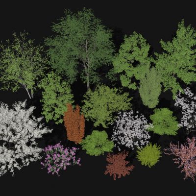 现代景观树 树木 乔木 灌木 植物 