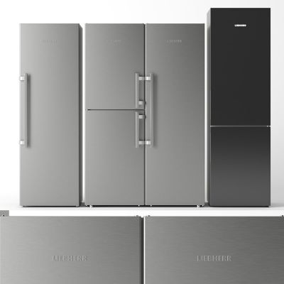 LIEBHERR现代冰箱