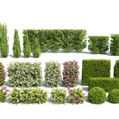 现代灌木绿篱组合