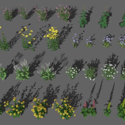 花卉花草组合 灌木 景观绿植花草 室外鲜花绿化