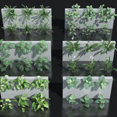 花卉花草组合 灌木 景观绿植花草 室外鲜花绿化 植物墙绿植