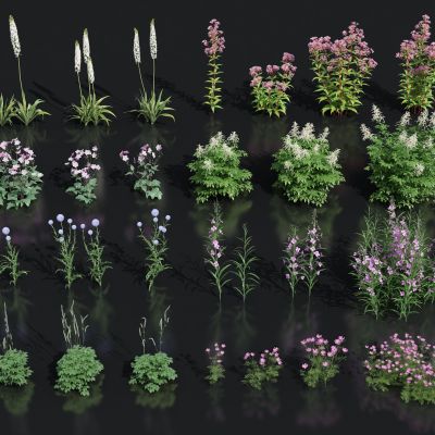 花卉花草组合 灌木 景观绿植花草 室外鲜花绿化