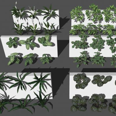 花卉花草组合 灌木 景观绿植花草 室外鲜花绿化 植物墙绿植