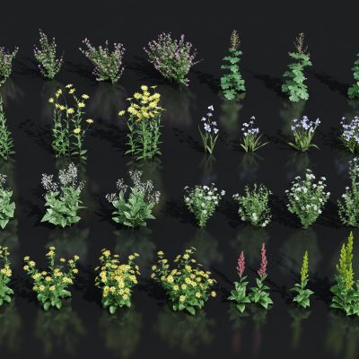 花卉花草组合 灌木 景观绿植花草 室外鲜花绿化