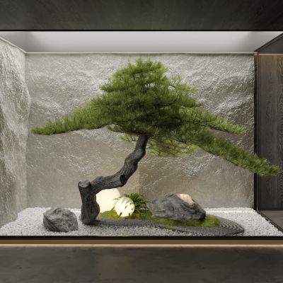 现代室内造景 植物摆件