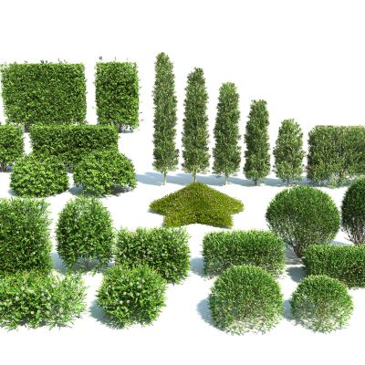 现代灌木树篱组合