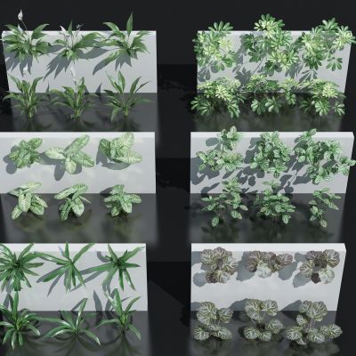 花卉花草组合 灌木 景观绿植花草 室外鲜花绿化 植物墙绿植