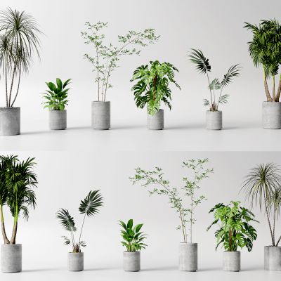 现代花盆 绿植 室内植物组合