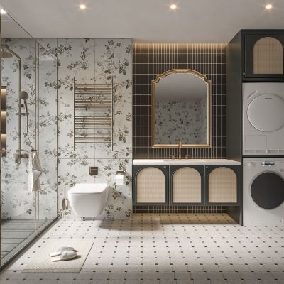 法式卫生间 现代卫生间  马桶 浴室柜 洗脸盆 镜子 玻璃隔断 洗衣机 烘干机
