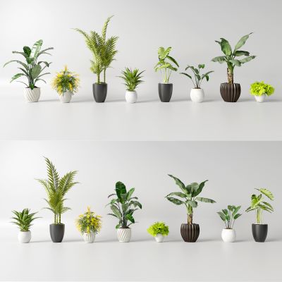 现代花盆 绿植 室内植物组合