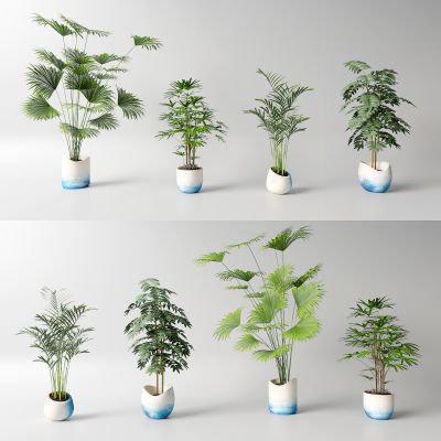 现代花盆 绿植 盆栽植物组合