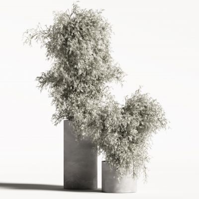 现代花瓶花艺植物