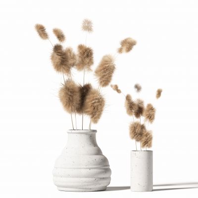 侘寂花瓶花艺植物