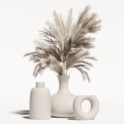 侘寂花瓶植物