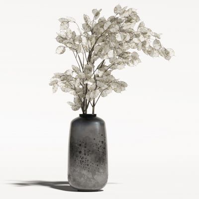 侘寂花瓶植物